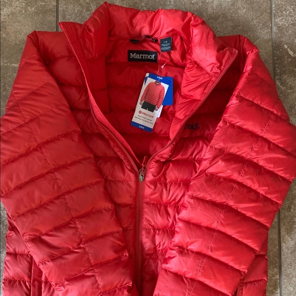 marmot azos down
